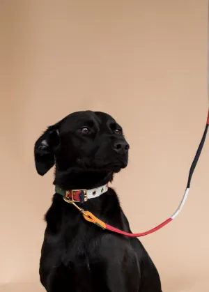 BEAST   BABE | Tiny Dino Slip Collar
