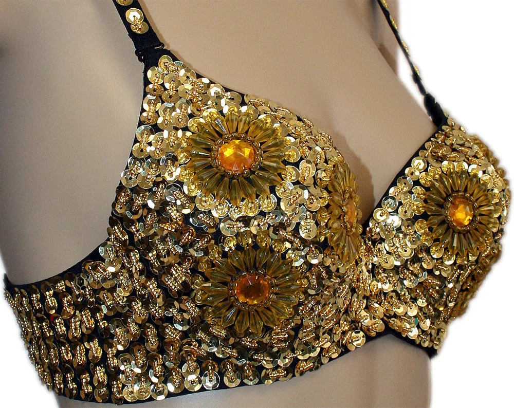 Exotic Floral Embellished Sequin Bra Top, Belly Dance, Halloween Costume
