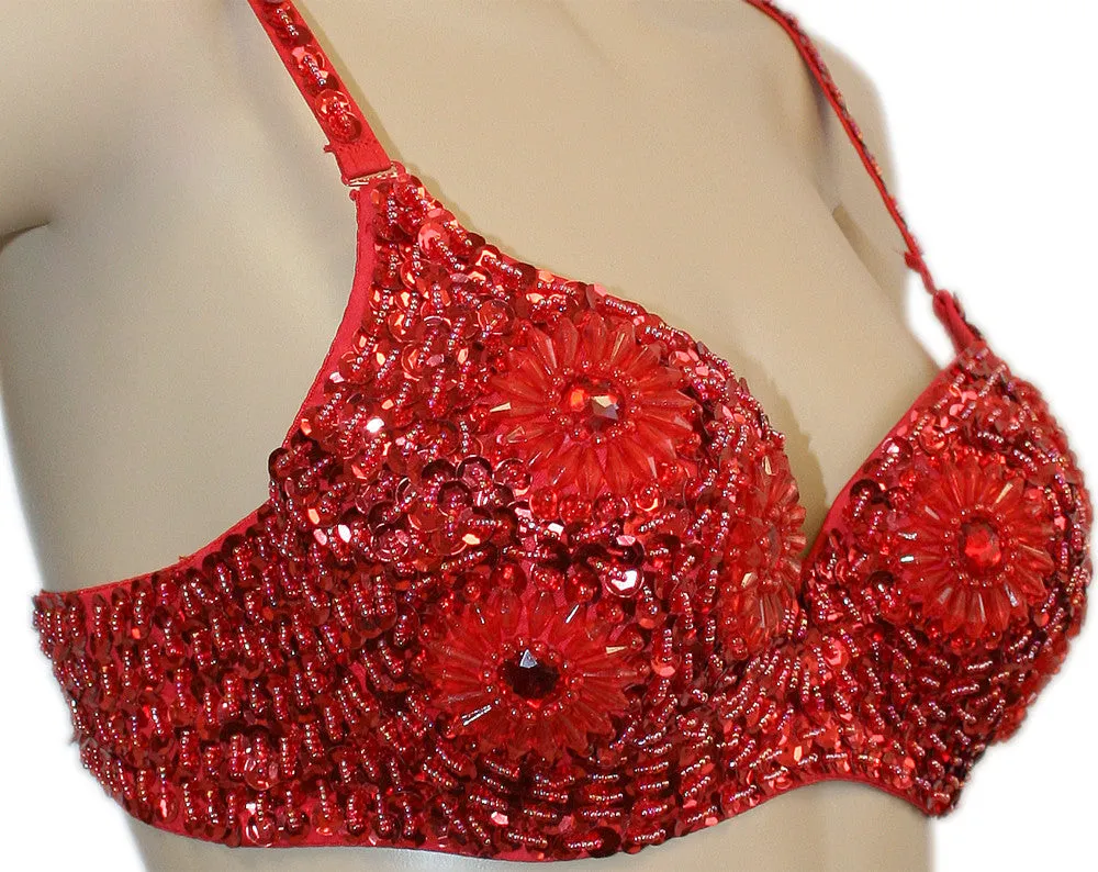 Exotic Floral Embellished Sequin Bra Top, Belly Dance, Halloween Costume