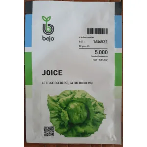 Lettuce Iceberg Joice