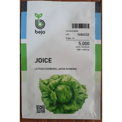 Lettuce Iceberg Joice