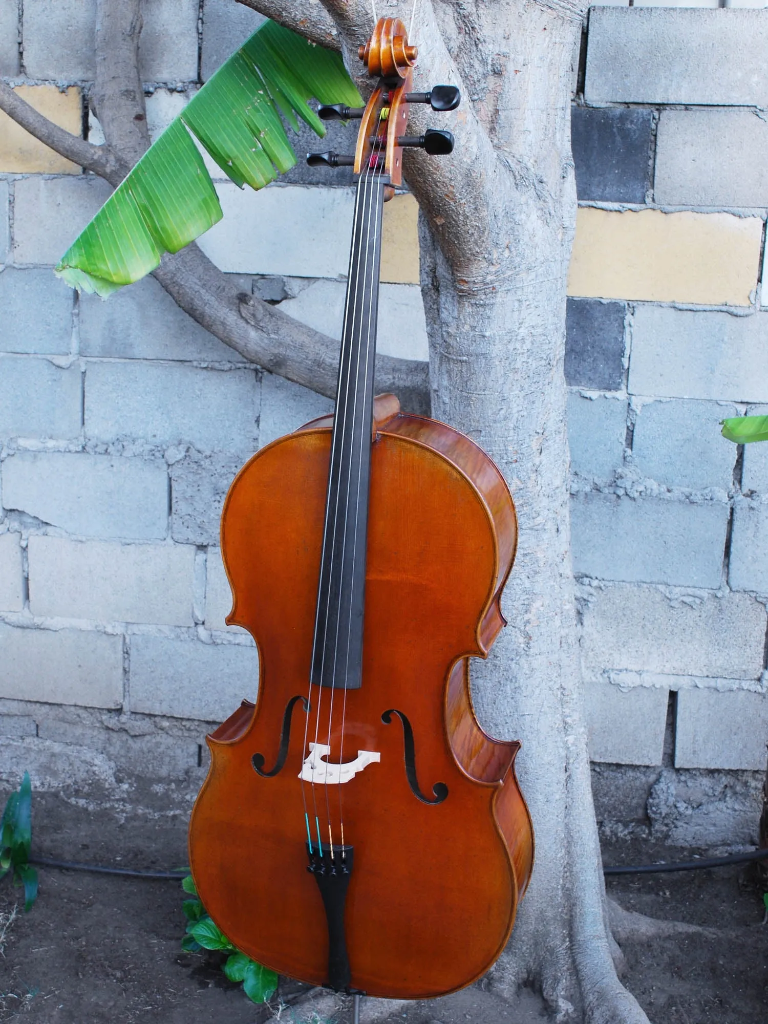 Vivo Zetoni model 100 4/4 Cello